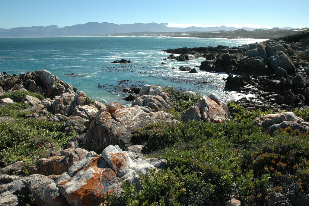 Cliff Lodge Gansbaai Exteriér fotografie