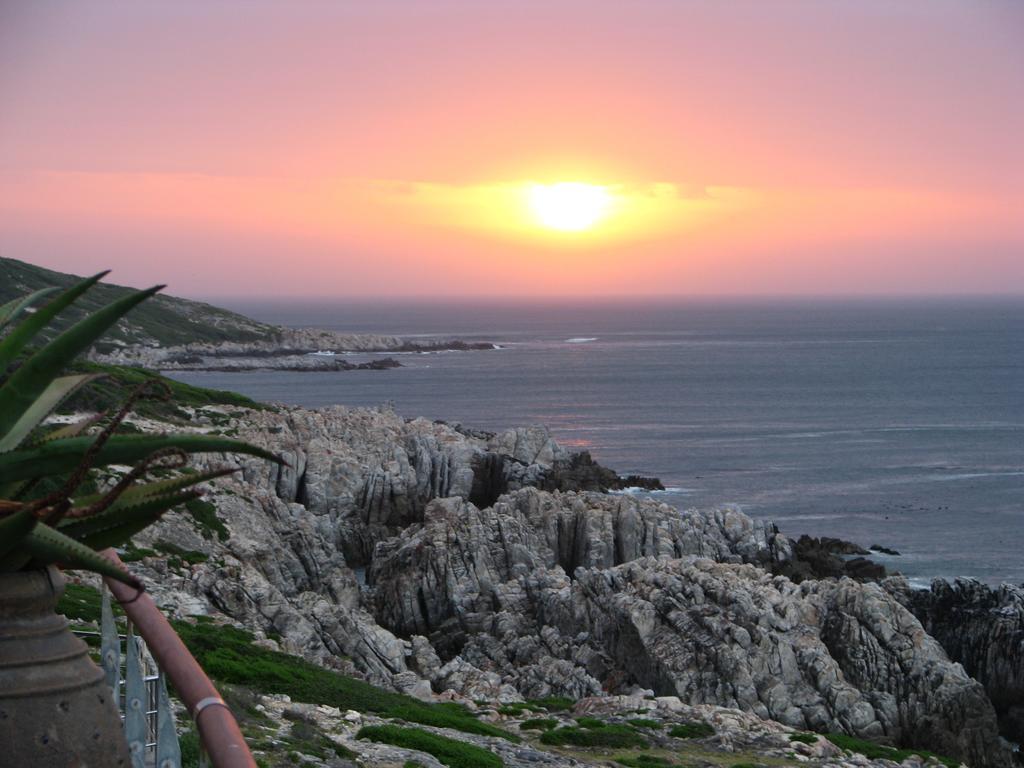 Cliff Lodge Gansbaai Exteriér fotografie
